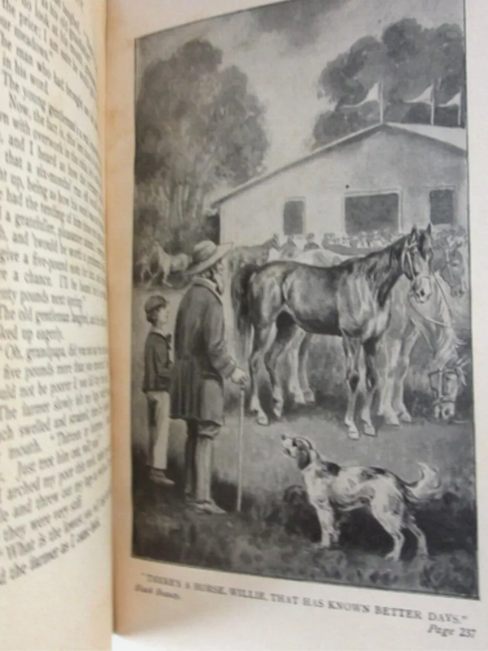 Peck's Compendium of Fun Comprising The Immortal Deeds Of Peck...1883 1stED RARE